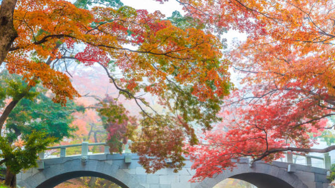 How South Korea ended coronavirus