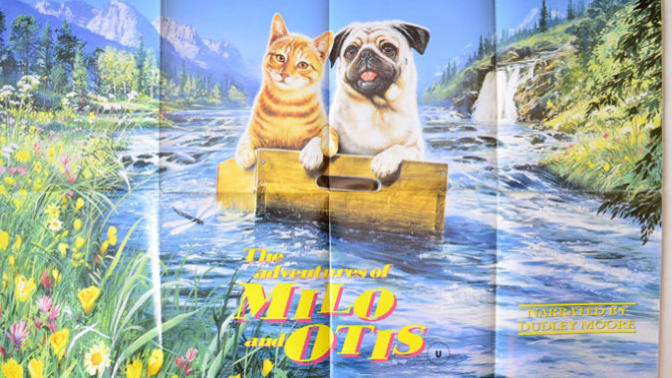 A Journey with Milo and Otis