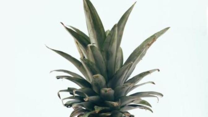 Why pineapple on pizza is a crime!