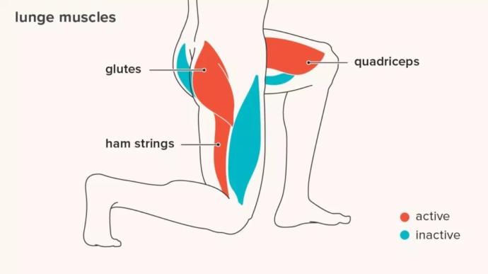 The glutes are active on one leg, unlike with squats