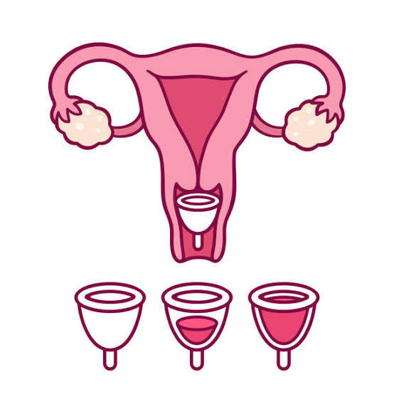 Benefits of menstrual cups.
