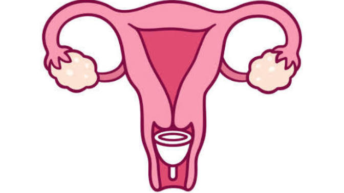 Benefits of menstrual cups.