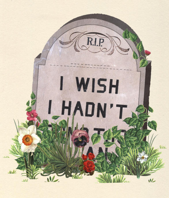 Finding a career: An essay on neurotic egotism