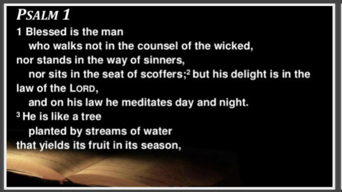 What Psalms 1 Teaches about Boundaries - Bible Talk