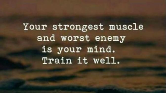The brain structure for beginners
