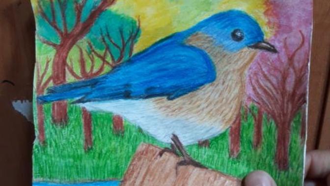 Why you shouldn't tell an artist they suck at drawing