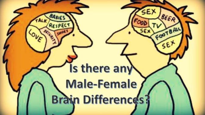 Dear Feminists, Men & Women are not the same