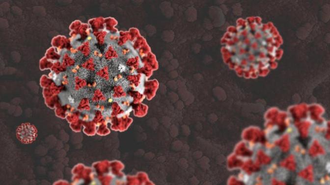 Coronavirus Denialist/Downplaying Arguments Debunked: