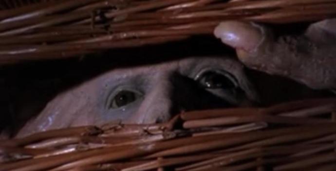 31 Days of Favorite Halloween Movies/Specials (or at least 31 mytakes) part 7