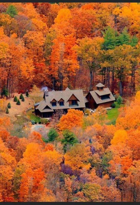 My Fall Poem: Carolina Autumn