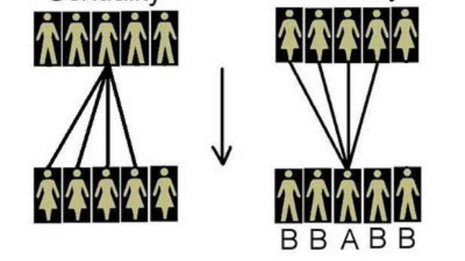 Women and Hypergamy