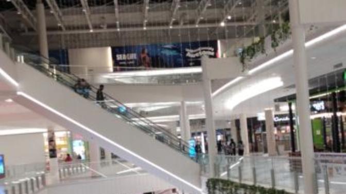 My Trip to the Mall of America