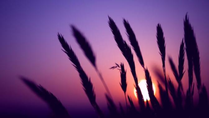 Extremely Vivid and Lucid Dreams