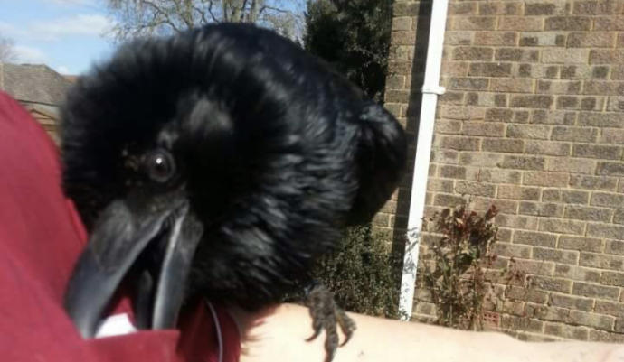 What I do to keep myself happy during CoVid