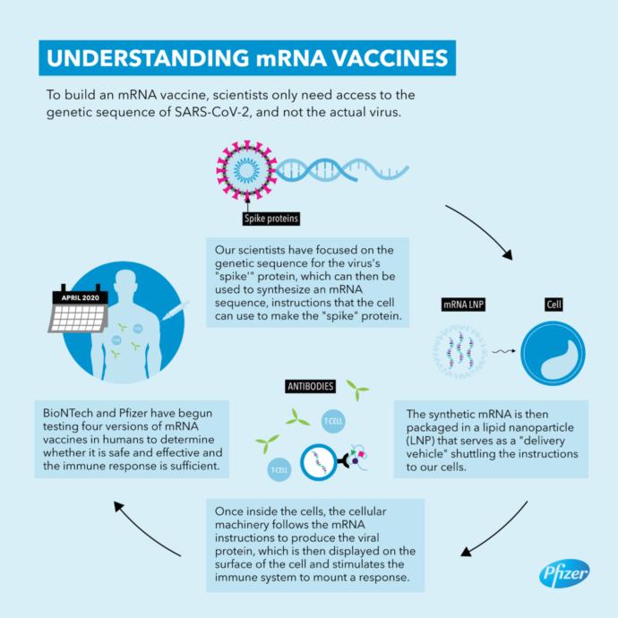 Answers to common questions about the COVID vaccines!
