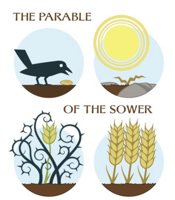 Understanding the Parable of the Sower in Matthew & Luke