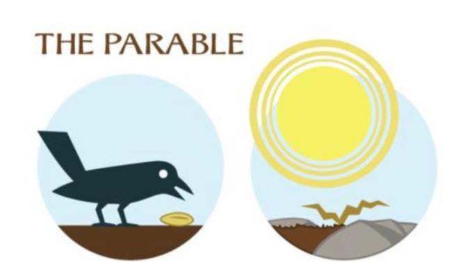 Understanding the Parable of the Sower in Matthew & Luke