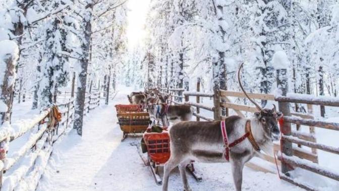 We Heart it : Christmas Edition
