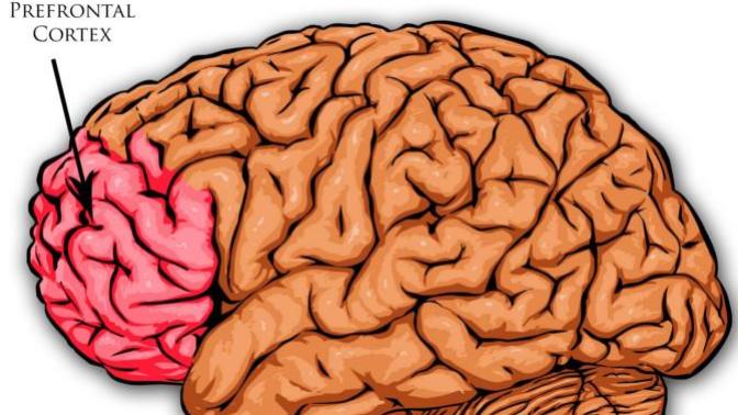 Why we buy impulsive? Is it normal?