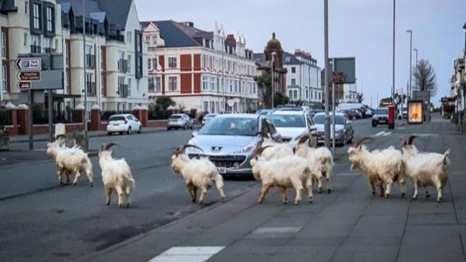 A Guide To The Worst Places In Wales