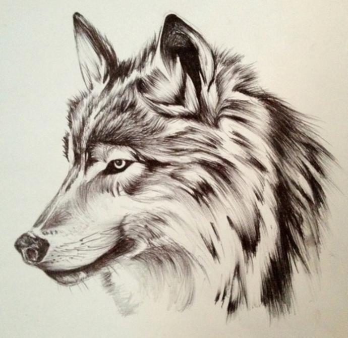 Primal animal