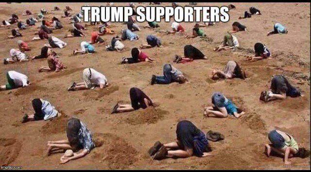 Defund vs. Abolish vs. Disband - What the Far Right thinks they heard but really - what they heard was what they wanted to hear