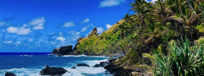 Stranded on a Deserted Island Choose-Your-Own-Adventure