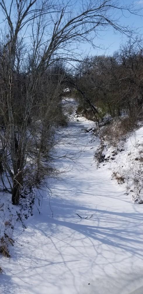 Trying to Survive the Texas Snow Storm