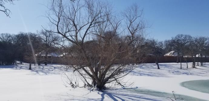 Trying to Survive the Texas Snow Storm