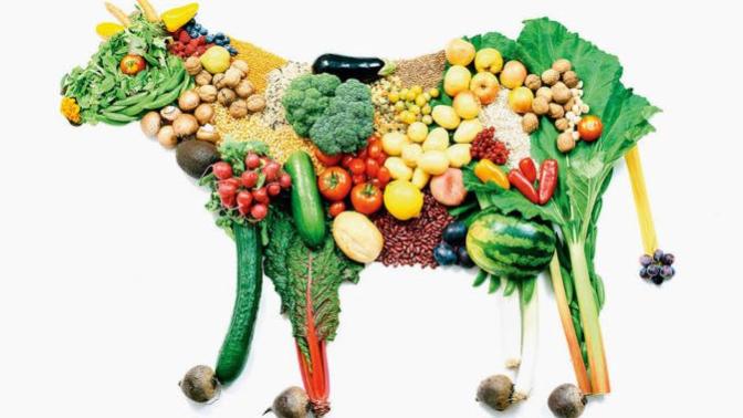 Why I think there are people who, really, shouldn't bother going vegan (as a 5-year vegan)