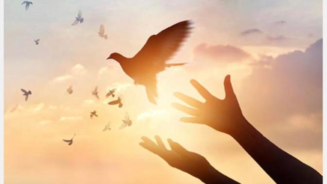 Why a religious person should always forgive those who do wrong