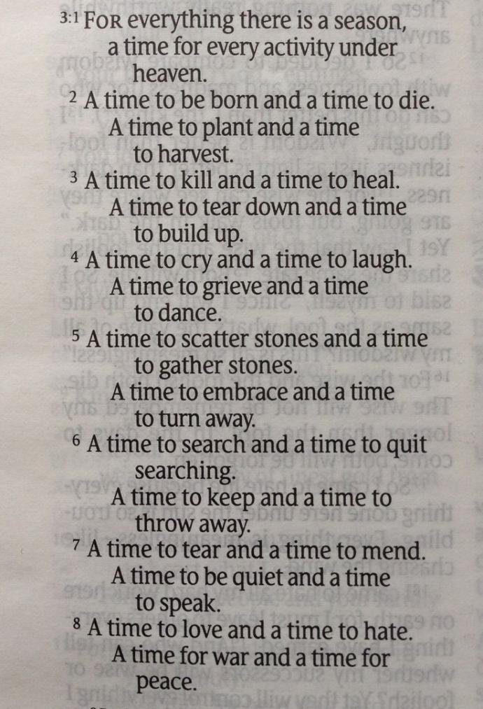 What I think of the wheat and the tares parable in the bible