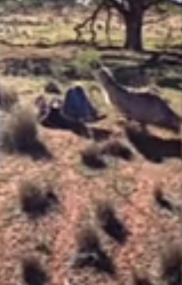 Money Makes the World Go Around... and Now Apparently it Does Buy Happiness After All