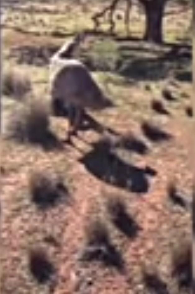 Money Makes the World Go Around... and Now Apparently it Does Buy Happiness After All