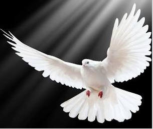 Five traits that define a Christian believer