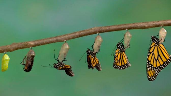 Why Losing Friends And Growing A Part Is Something Positive