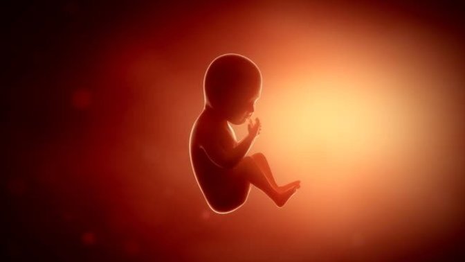 Abortion ISN’T murder or bad!