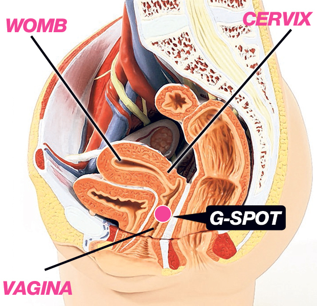 Confessions of a Ladies Man: How to Squirt from Your Yoni