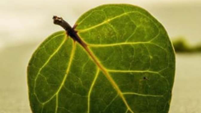 How I define humility by balancing the idea of self love with modesty - bible talk