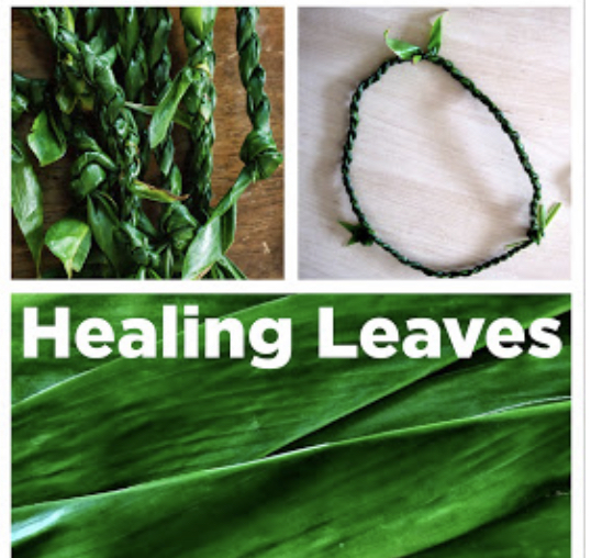 The Healing Properties of Love and Kindness - Bible Talk