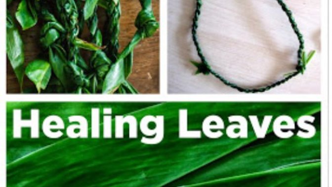 The Healing Properties of Love and Kindness - Bible Talk