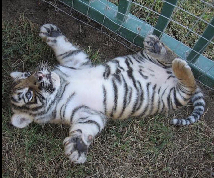 Unique Views on Maximizing Health from Scripture