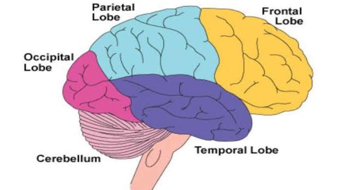 ADHD Awareness 2 : What is ADHD?