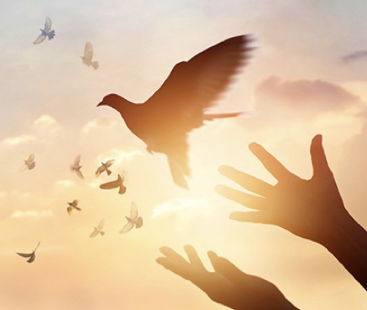 Bible Facts that Help me forgive others