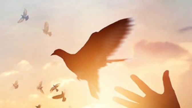 Bible Facts that Help me forgive others
