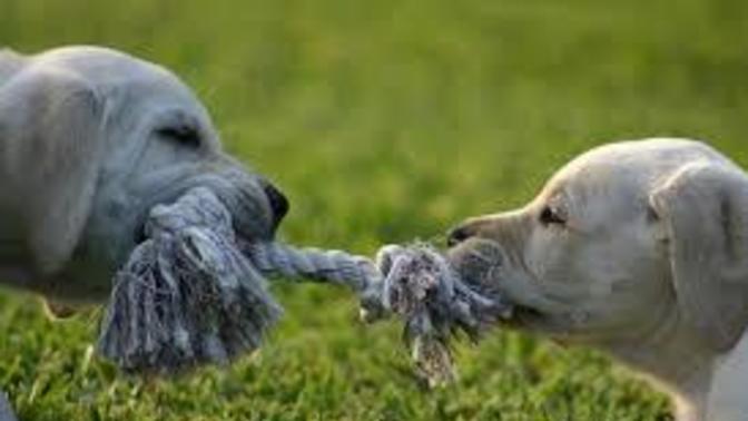 One way to resolve an "unresolvable" argument