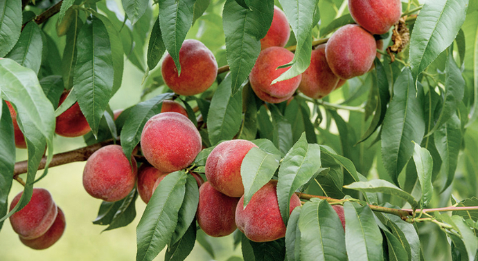 Why motives matter to God - the REAL secret