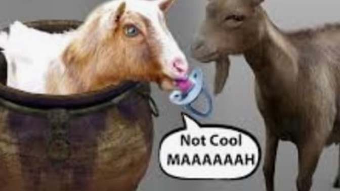 Why the bible says you should not add insult to injury