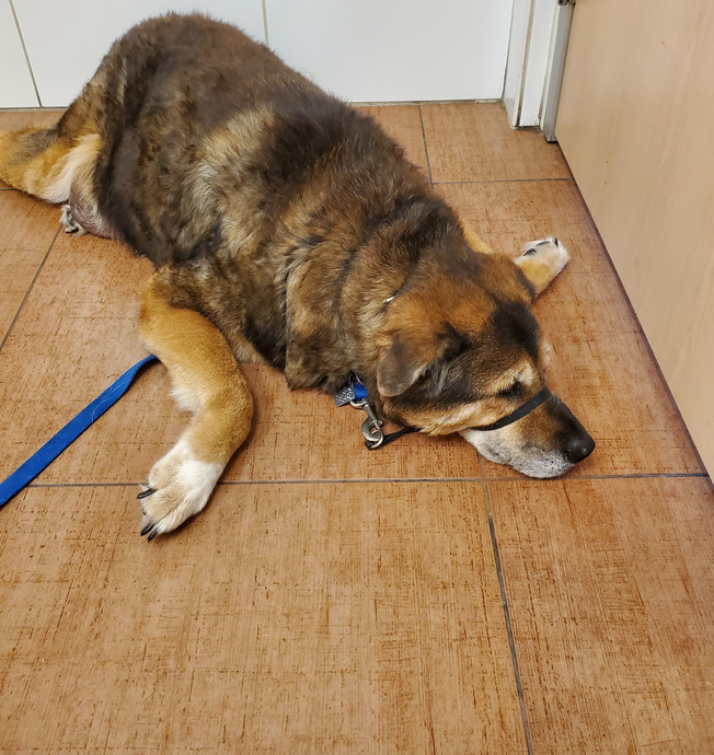 Its time to rest buddy.