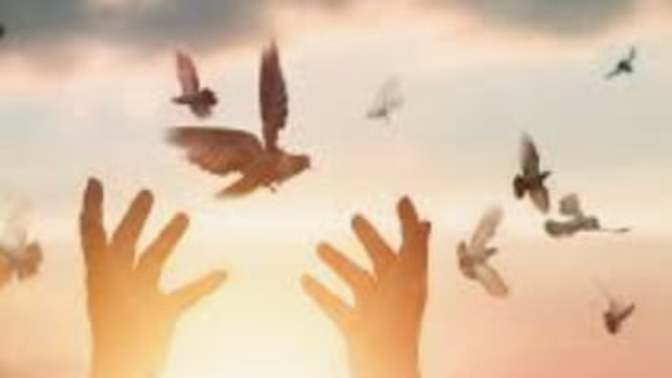 What God teaches about forgiveness
